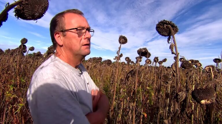 Agriculteurs : T&eacute;moignages sur les Alternatives Biologiques