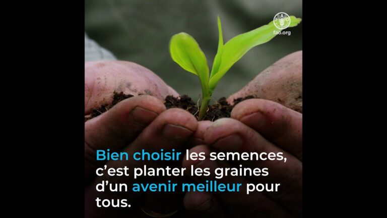 Guide pour Choisir des Semences de Qualit&eacute;