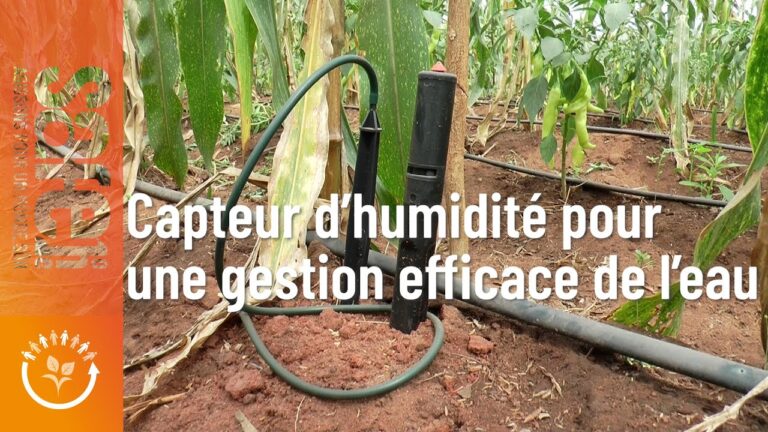 Optimisation des Co&ucirc;ts des Syst&egrave;mes de Surveillance des Cultures