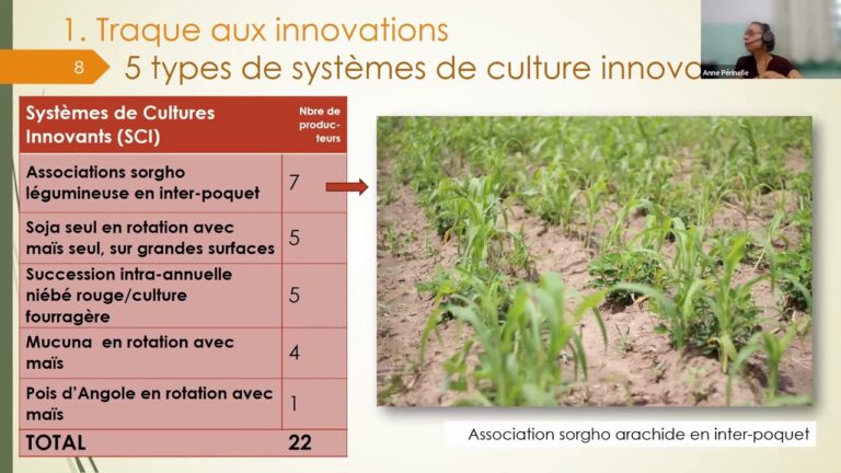 Techniques de Culture Innovantes pour une Agriculture Durable