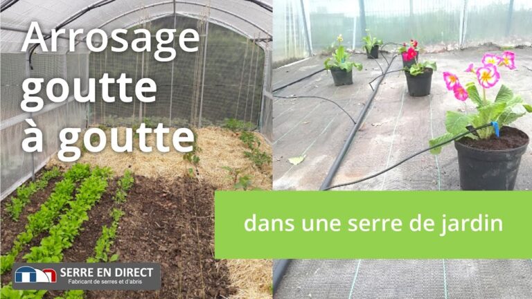 Services Professionnels d’Installation pour l’Irrigation Goutte-&agrave;-Goutte