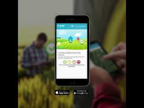 Optimisation des syst&egrave;mes de surveillance des cultures