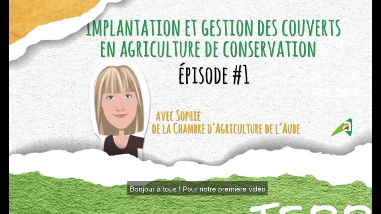 Les Avantages de l’Agriculture de Conservation pour la Biodiversit&eacute;