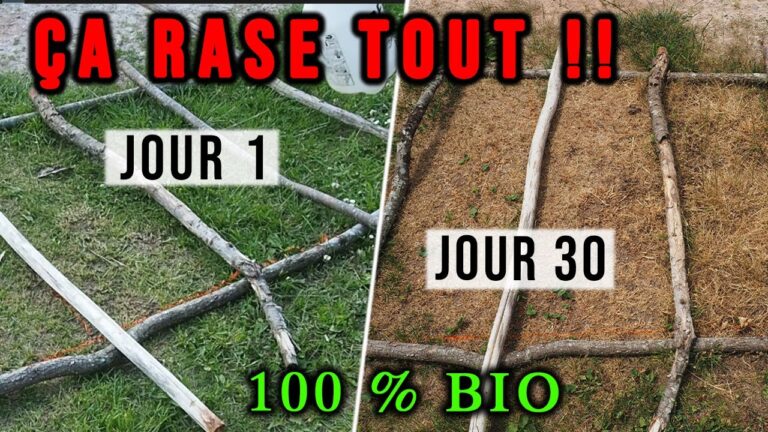 Comparatif des Meilleurs Produits de D&eacute;sherbage Naturel