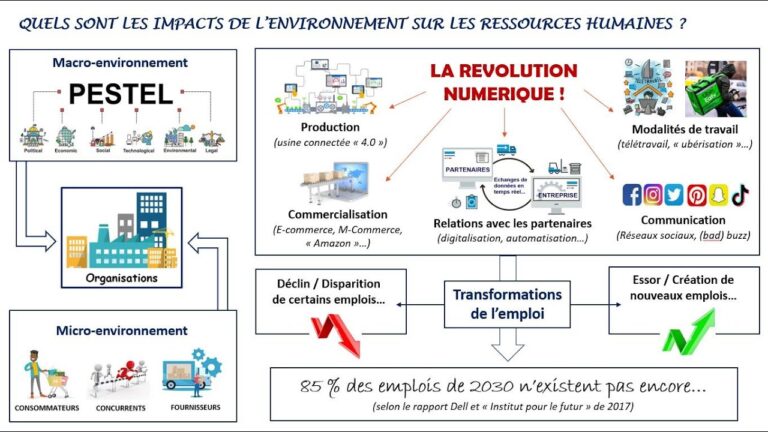 Optimiser les solutions de gestion des effectifs en entreprise