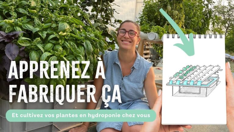 D&eacute;couvrez le kit de culture hydroponique en ligne id&eacute;al