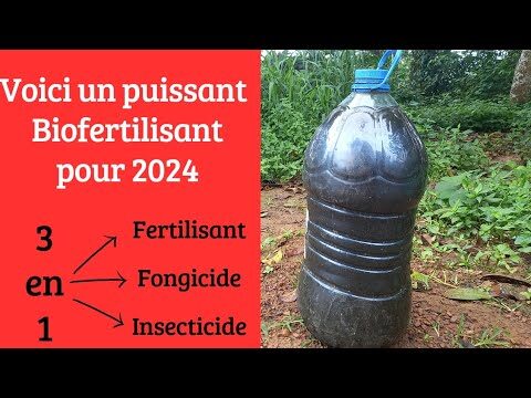 Guide pour acheter des engrais organiques en magasin