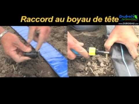 Optimiser l’Efficacit&eacute; avec l’Installation Professionnelle d’Irrigation Goutte-&agrave;-Goutte