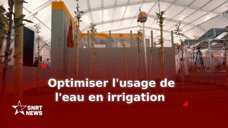 Solutions Innovantes pour Optimiser l’Eau en Agriculture
