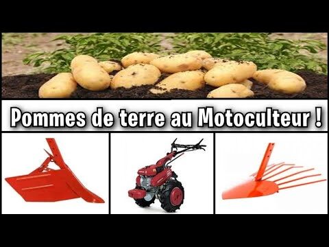 Options de financement pour &eacute;quipements de r&eacute;colte