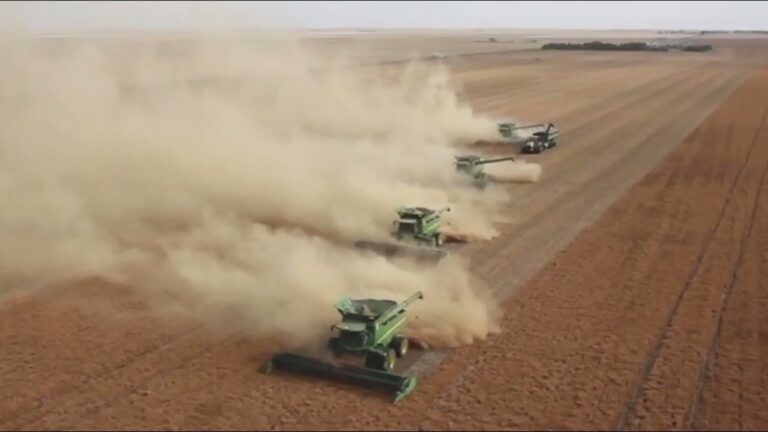 L’impact environnemental de l’agriculture