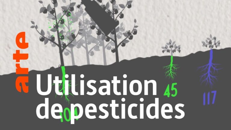 Agriculture Biologique : Cultiver Sans Pesticides