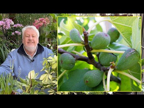 Optimiser l’entretien des sols gr&acirc;ce aux programmes de fid&eacute;lit&eacute;