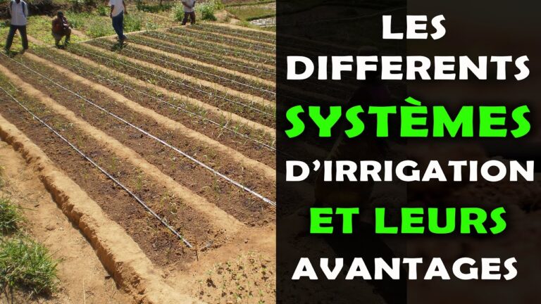 Comparaison des Méthodes d&#8217;Irrigation Traditionnelle et Moderne