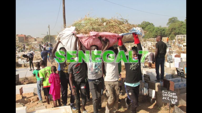 Offres Exclusives sur les Accessoires de Désherbage