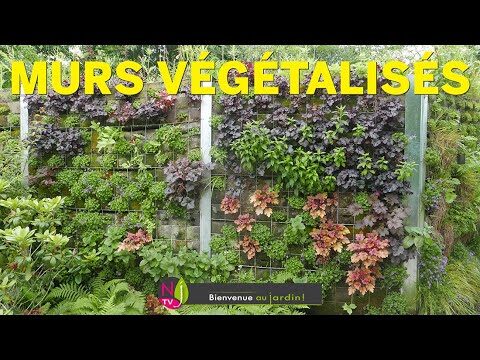 Jardin Vertical &Eacute;cologique : Guide Pratique et Astuces