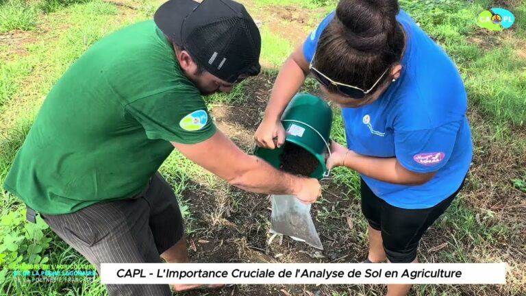 Optimisation des services de suivi apr&egrave;s analyse des sols