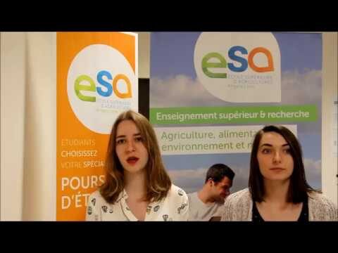 Efficacit&eacute; des Am&eacute;nagements Paysagers : T&eacute;moignages et Retours d’Exp&eacute;rience