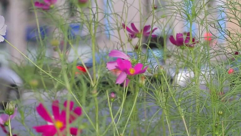 Optimiser l’Agriculture Urbaine en Serre : Cr&eacute;er une Communaut&eacute; d’&Eacute;change