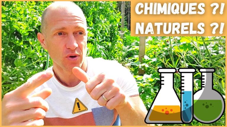 Avis sur l’Efficacité des Engrais Organiques Naturels