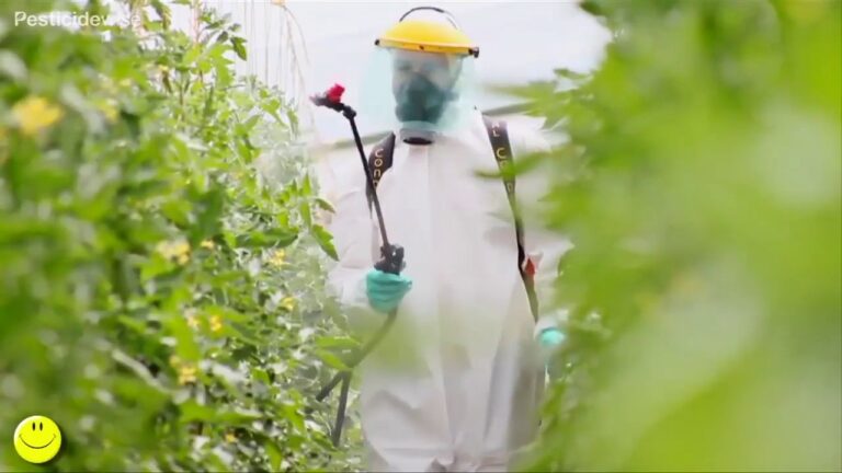 Optimiser le stockage des produits phytosanitaires : conseils essentiels