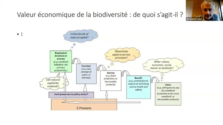 &Eacute;valuation de la biodiversit&eacute; post-am&eacute;nagement