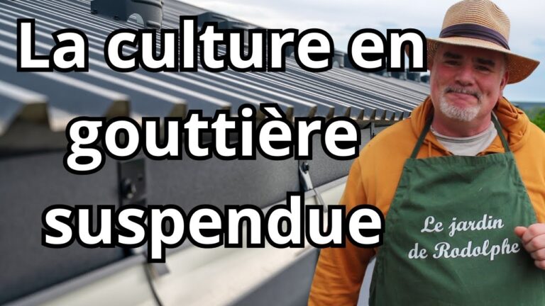 Avantages des Jardins Suspendus en Milieu Urbain