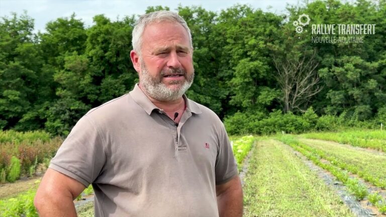 Ateliers de Jardinage : Techniques Alternatives de D&eacute;sherbage