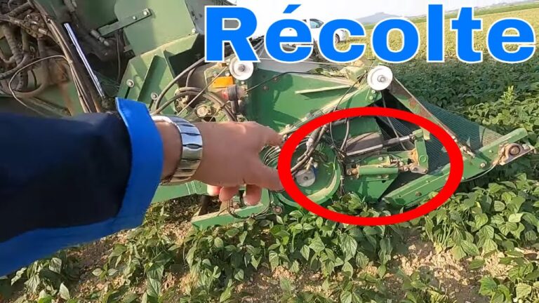 Les avantages de la r&eacute;colte m&eacute;canis&eacute;e