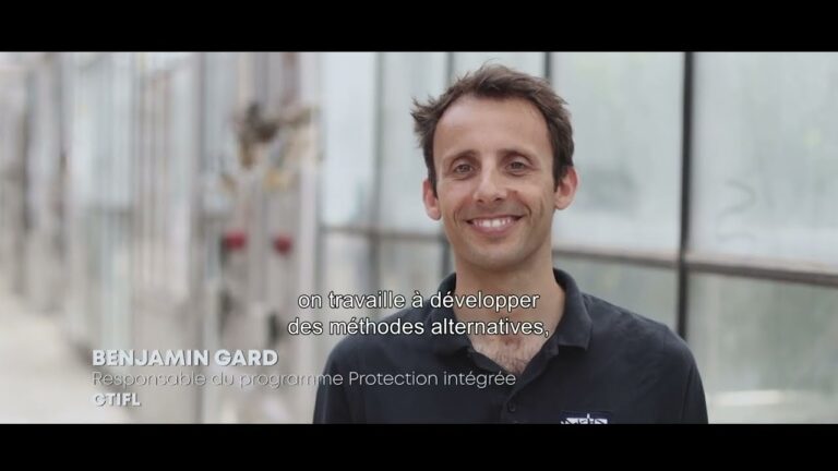 Strat&eacute;gies Efficaces de Lutte Int&eacute;gr&eacute;e contre les Maladies des Plantes