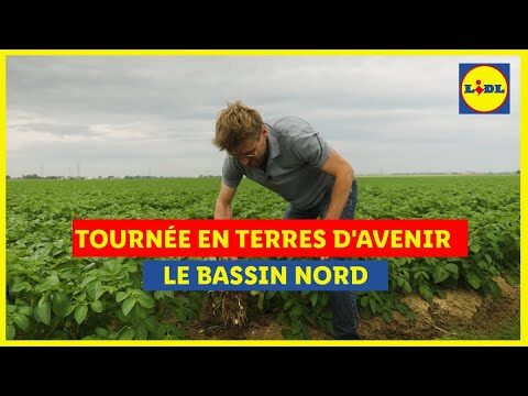 Avis sur les Fournisseurs de Semences Durables : Guide Complet