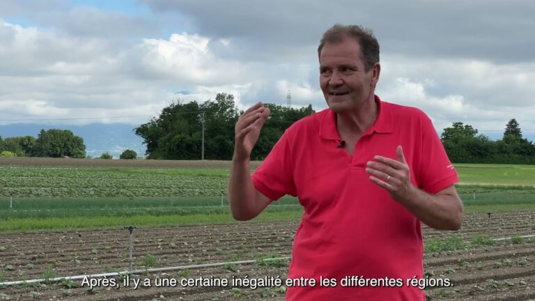 T&eacute;moignages d’Utilisateurs sur les Cultures Hors-Sol