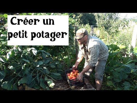 Jardins agro&eacute;cologiques : exemples inspirants de r&eacute;ussite