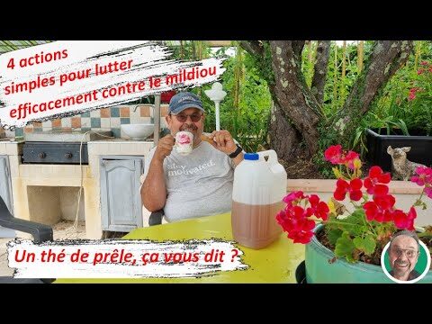 Optimisation de l’efficacit&eacute; des amendements du sol