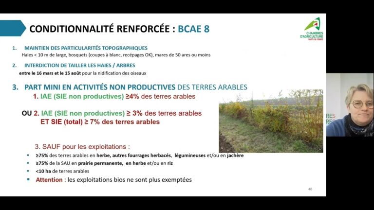 Comparaison entre rotation des cultures et monoculture en agriculture