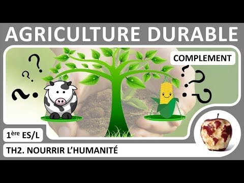 Comparaison des Syst&egrave;mes de Culture Durable : &Eacute;valuation et Perspectives