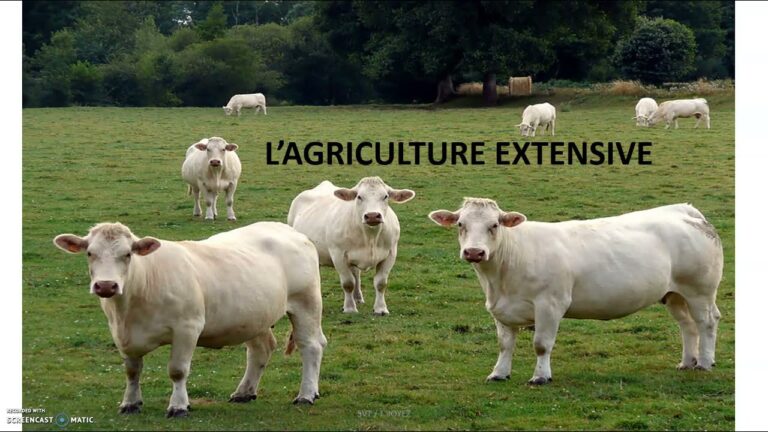 Comparaison des Technologies d’Irrigation Durable