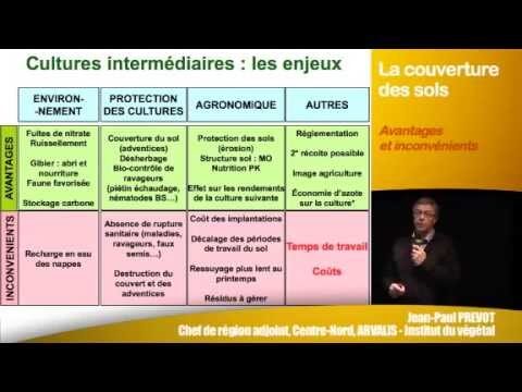 Les b&eacute;n&eacute;fices des cultures de couverture pour la sant&eacute; des sols
