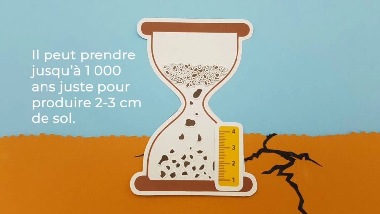 L’impact de l’&eacute;rosion sur la gestion des sols