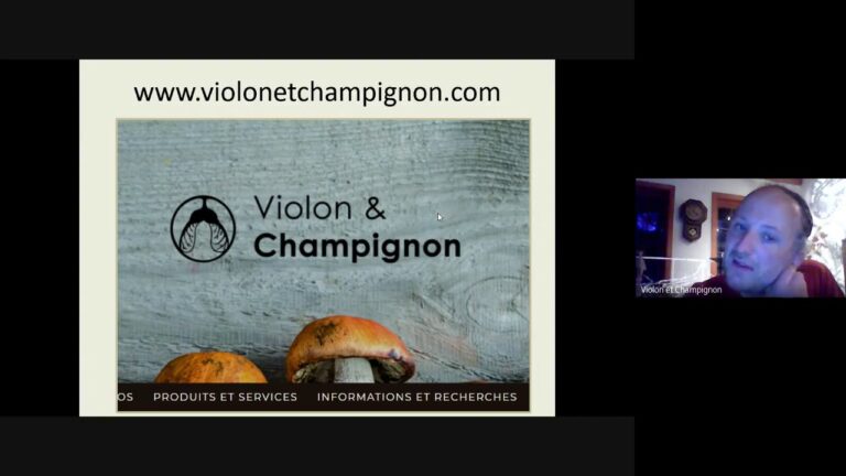 Les différents types de systèmes de serres