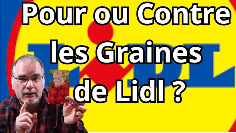 Options de livraison rapide pour semences de jardin