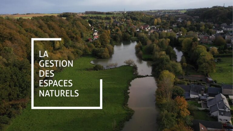 Renforcer la Communaut&eacute; en Ligne pour la Conservation de l’Eau