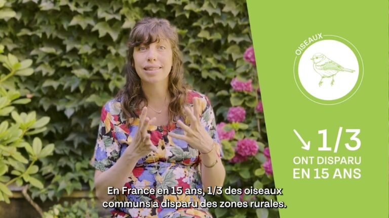 T&eacute;moignages sur l’Utilisation des Pesticides R&eacute;duits