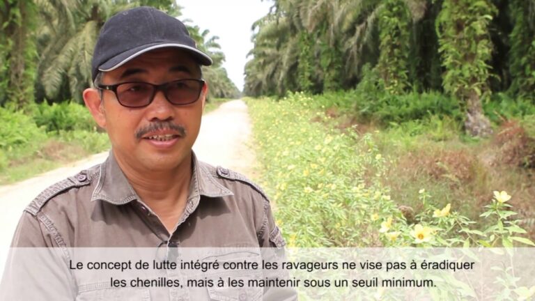 Optimiser les M&eacute;thodes de Lutte Int&eacute;gr&eacute;e pour une Agriculture Durable