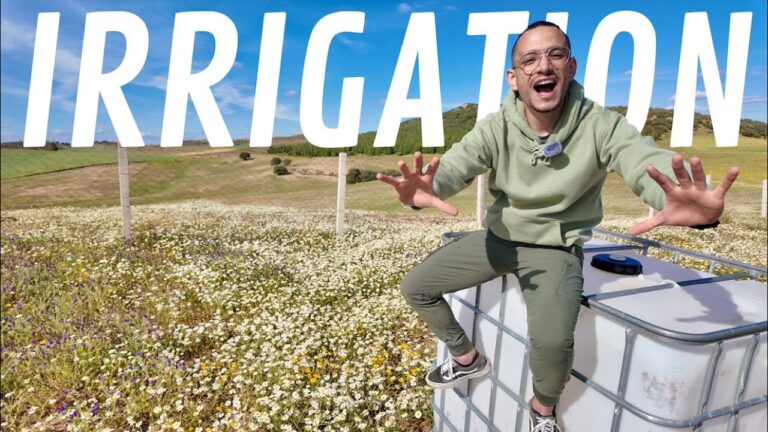 Optimiser les Coûts d&#8217;Installation de l&#8217;Irrigation Goutte à Goutte
