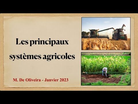 Comparaison des M&eacute;thodes d’Irrigation Durable : Efficacit&eacute; et Durabilit&eacute;