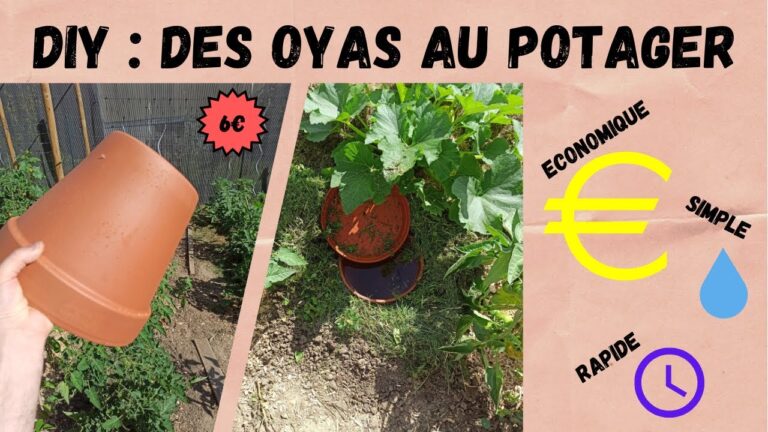 Techniques d&#8217;Irrigation Économes en Eau : Solutions Durables pour l&#8217;Agriculture