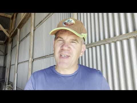 Garantie de Germination des Semences : Ce Que Vous Devez Savoir