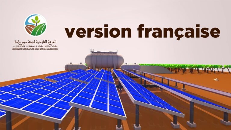 Les avantages de l’énergie solaire en agriculture