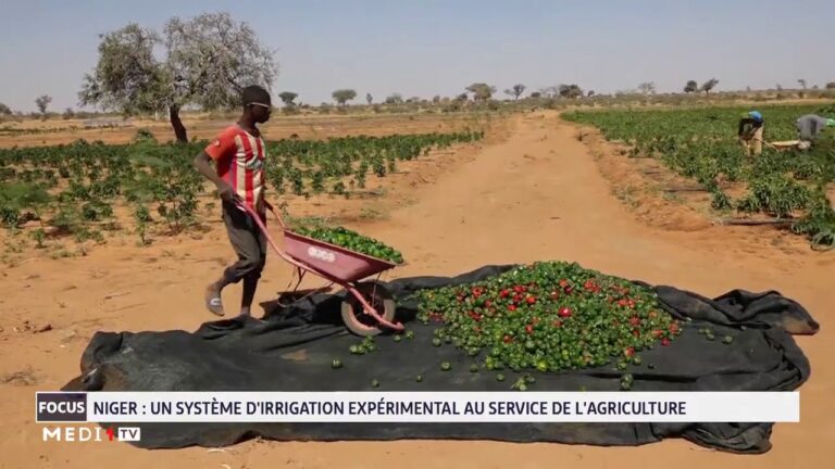 Irrigation Intelligente : L’Essor des Communautés Agricoles